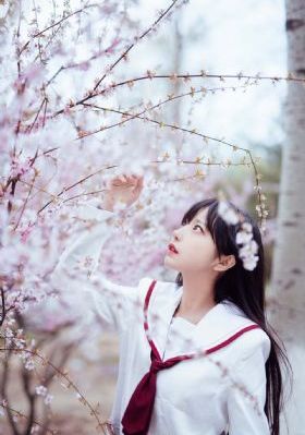 午夜视频免费试看_DVD动漫免费观看